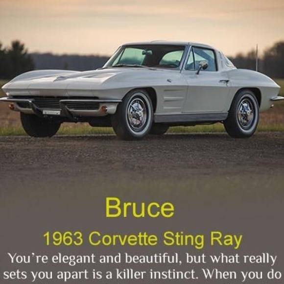 Meet your Posher, Bruce - Picture 1 of 1